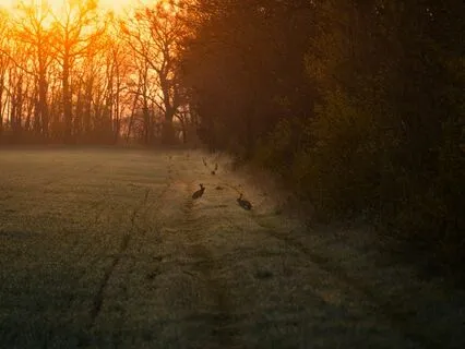 Joyful Healing Music With 432Hz: A Gateway To Inner Peace