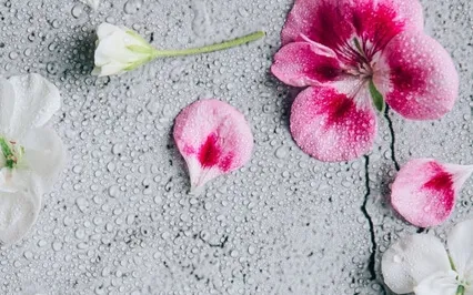 Joyful Work (Once Again)