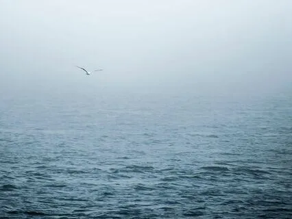 Joyous Serenade - Happiness Overture