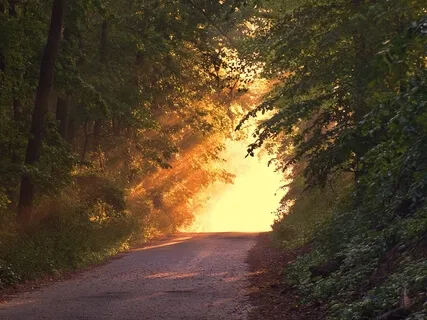 Joyous Silent Journey Practice