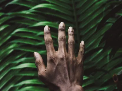 Joywork Prosperity 4