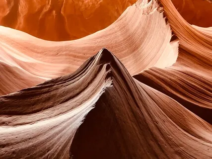 Joywork Prosperity 7