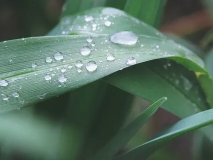 Joywork Protection 4