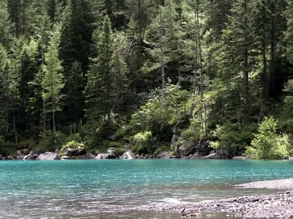 Joywork Protection 7