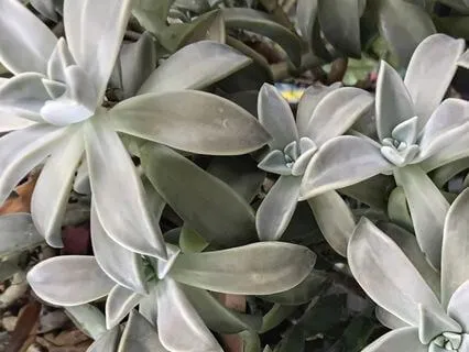 Judgement & Compassion