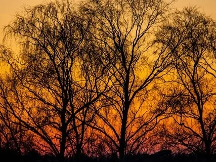 Juhlat Elämäsi Lopussa - Reflektioharjoitus