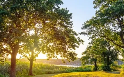 Julian Jenkins Mindfulness Body Scan