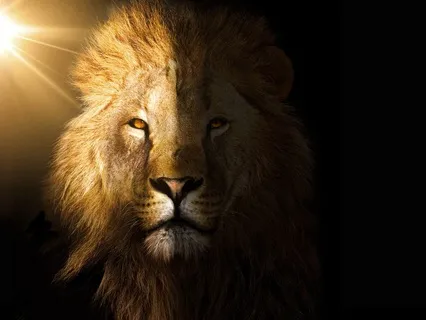 July New Moon In Leo Astrology Meditation