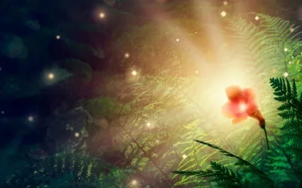 July Gratitude Meditation