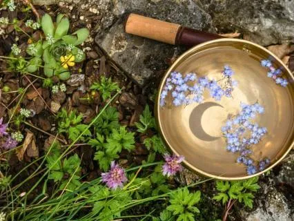 July New Moon In Cancer Astrology Meditation + Intentions