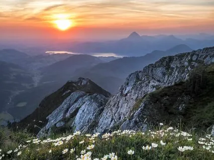 Jump Into Your Best Self (Hemispheric Brain Activation)