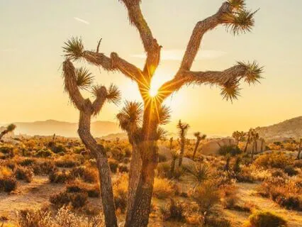 Jumpstart Your Creativity With Metaphor