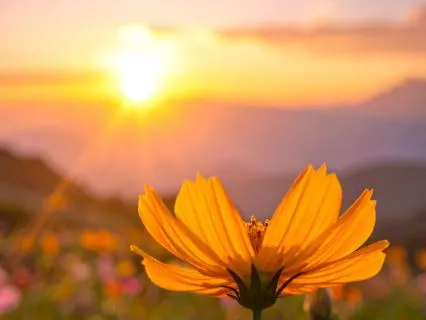 June Tao Energy - Earth