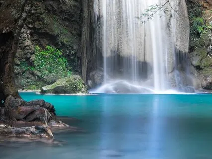 Jungle Adventure For Exploration And Discovery