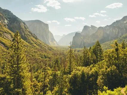 Jungle Stream Soothing Sounds For Deep Sleep And Relaxation