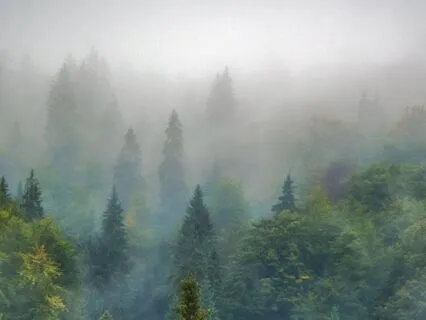 Jupiter Meditation: Embracing Abundance And Wisdom