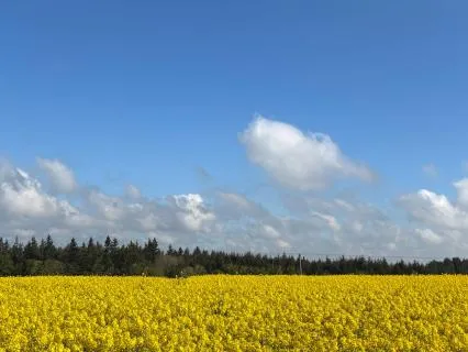 Jupiter's Gift: Expanding Into Abundance (Voice Only)