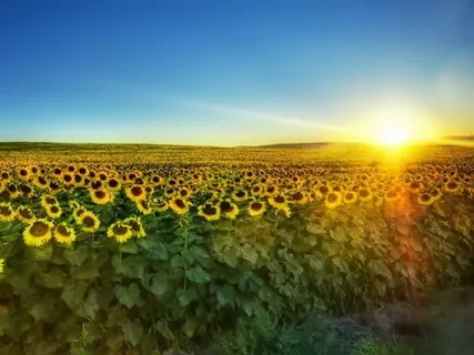 Just 3 Mindful Breaths