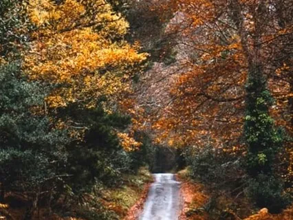 Just 4 Minutes To Rebalance