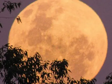 Just About A Full Moon