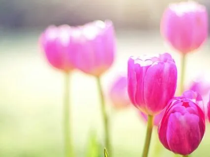 Just Allow: Quick Morning Meditation For Clarity And Peace