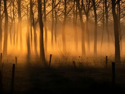 Not Just Another Day