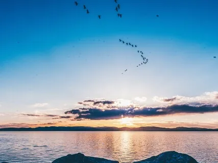 Just Around The Corner 