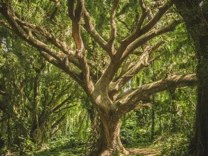 Just Be: A Poem For Stress & Anxiety Relief