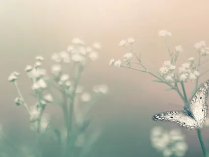 Just Be For 1 Minute