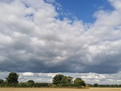 'Just Be Here' (A Presence Meditation Practice)