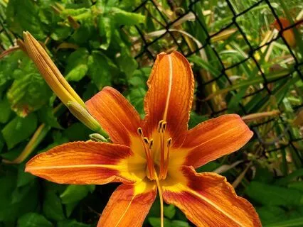 Just Be ~ Just Breathe