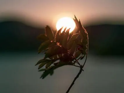 Just Because U Can Doesn't Mean U Should/Weekly Energy Boost