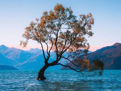 Just Because You Can Doesn't Mean You Should - For CPTSD