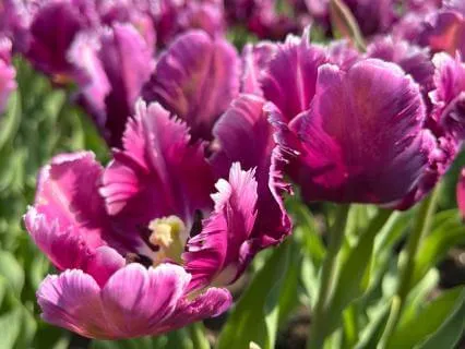 Just Begin | A Gentle Practice For Starting Without Fear