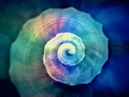 Just Breathe 1:  Soft Seeing