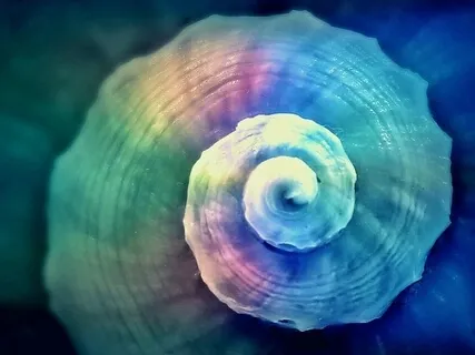 Just Breathe 3: Seated Intention & Breath & Body Meditation