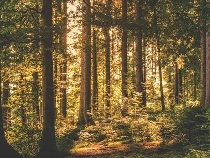 Just Breathe: A Grounding Meditation For Any Time