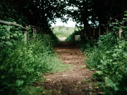 Just Breathing With The Heart