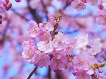 Just For Today: Be Kind