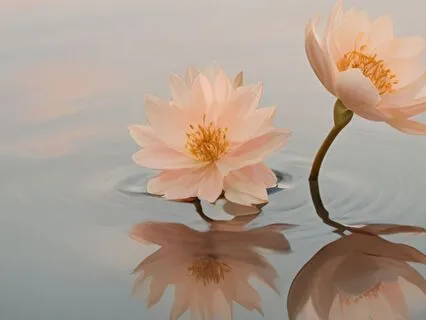 Just For Today Meditation With Reiki