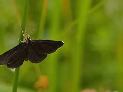 Just For Today: Open To Receive Blessing Coming My Way