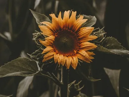 Just For Today: Pocket Meditations For ADHD Part 1: Breath