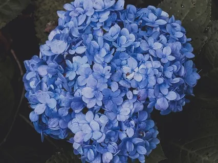 Just For Today: Pocket Meditations For ADHD Part 2: BodyScan