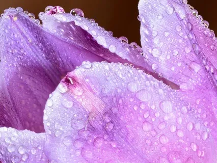 Just For Today: Pocket Meditations For ADHD Part 3: Mind