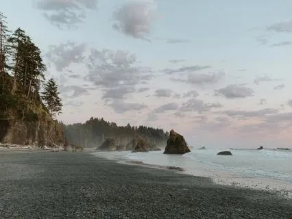 Just Keep Showing Up