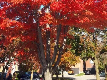 Just Lay Down, A Moment Of Pause.