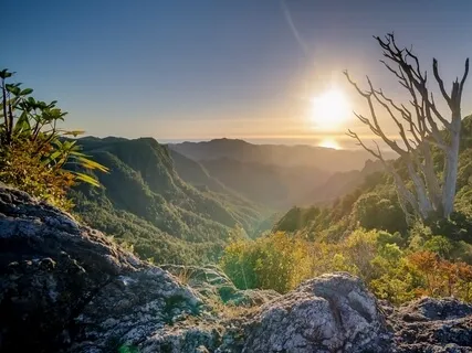 "Just Like Me" Compassion Meditation- Led By Marshall Kupka-Moore