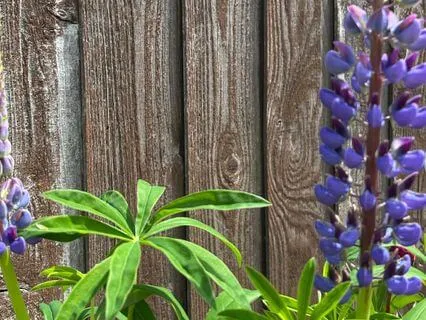 Just Like Me: Connecting Through Common Humanity