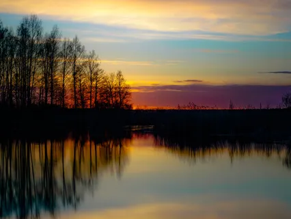 Just Like You: Loving Kindness Meditation