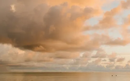 Just Miscarried? You Are Not Alone